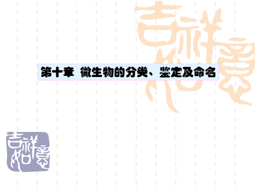 微生物的分类知识