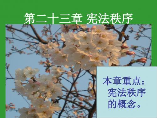 第二十三章 宪法秩