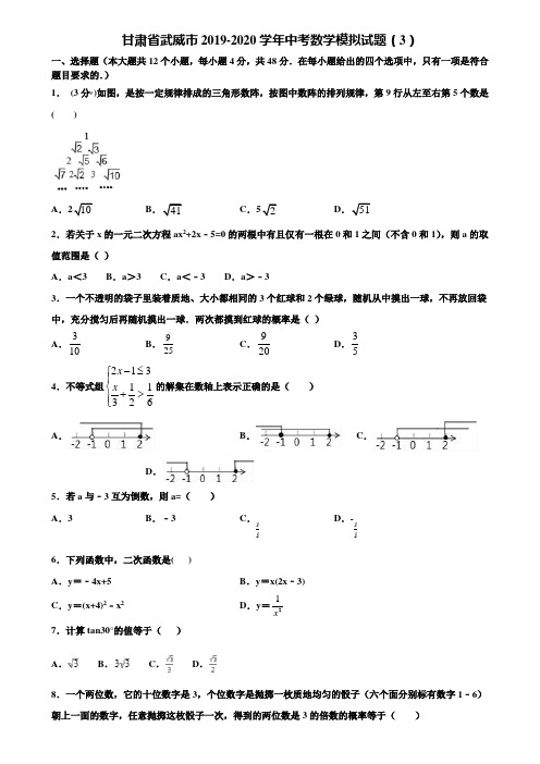 甘肃省武威市2019-2020学年中考数学模拟试题(3)含解析