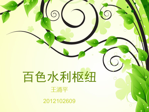 百色水利枢纽