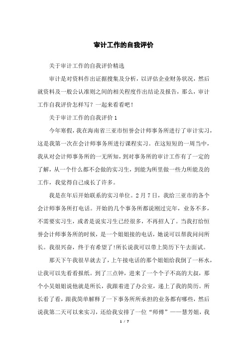 审计工作的自我评价