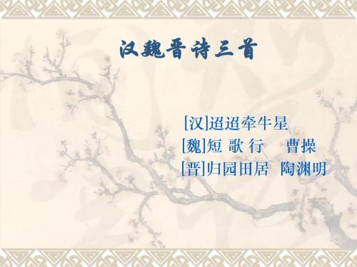 《汉魏晋诗三首》ppt