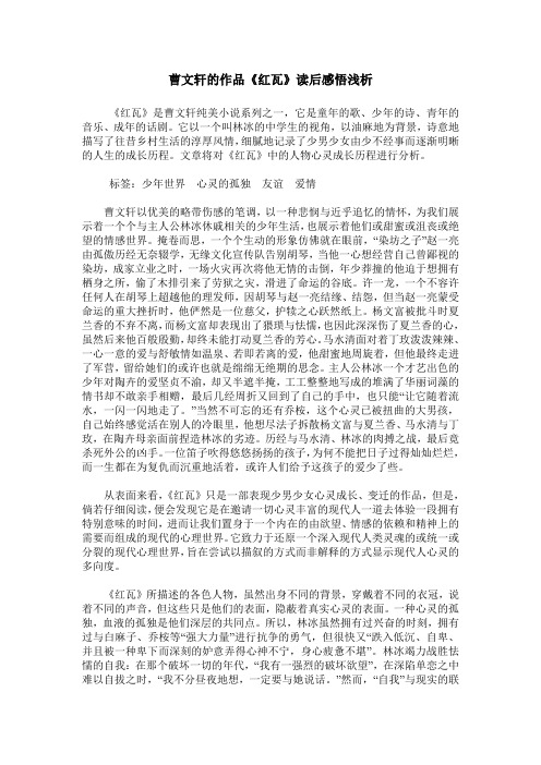 曹文轩的作品《红瓦》读后感悟浅析