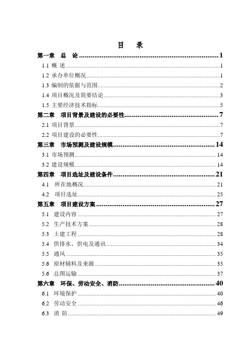 湖南省某某公司年产5000吨优质浮法玻璃项目可行性研究报告