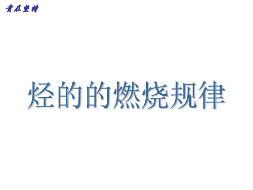 烃类燃烧专题