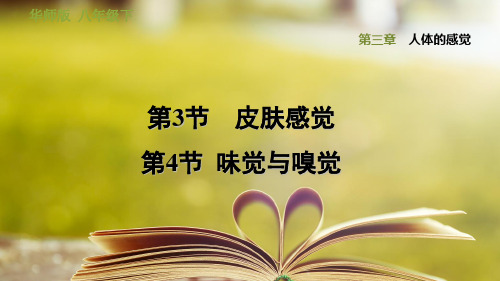华师版科学八年级下册第三章《人体的感觉》3.3  皮肤感觉、3.4  味觉与嗅觉