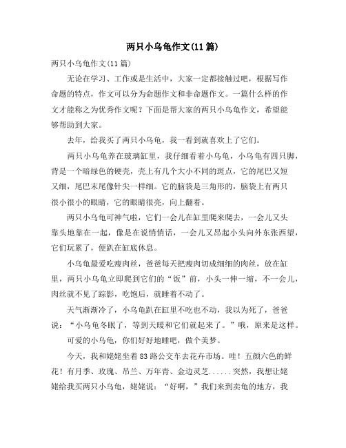 两只小乌龟作文(11篇)