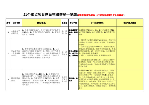 21个重点项目xls.xls