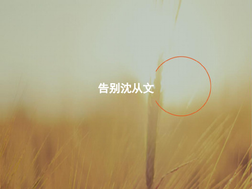 最新-学考优化设计2021学年高中语文鲁人版必修1课件：24告别沈从文 精品