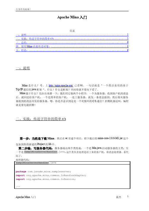 ApacheMina入门（完成版）
