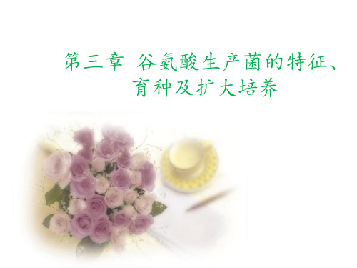 谷氨酸生产课件