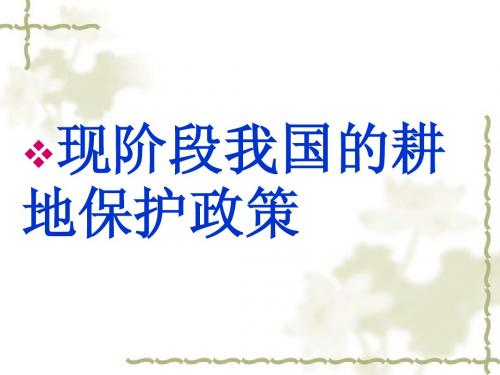 耕地保护政策