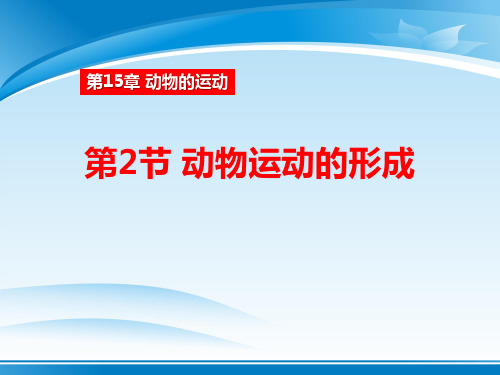 《动物运动的形成》PPT课件