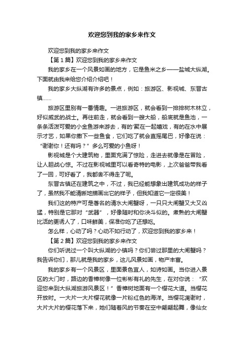 欢迎您到我的家乡来作文