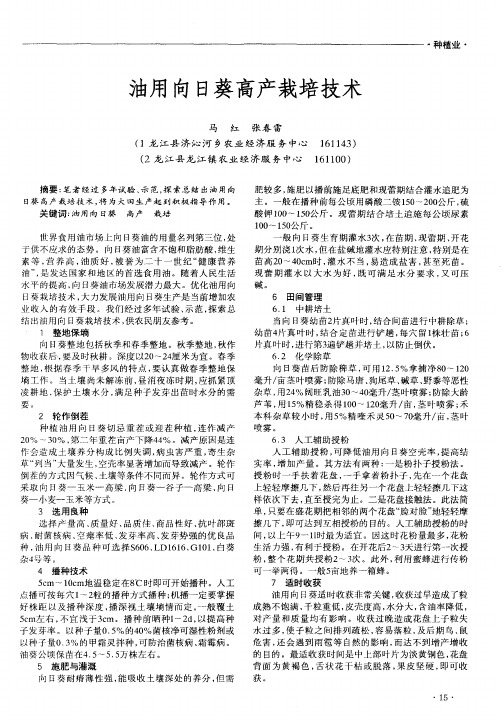 油用向日葵高产栽培技术