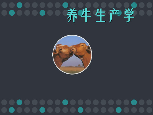 养牛生产学(全套课件434P)