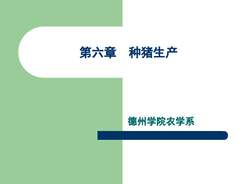 第六章 种猪生产