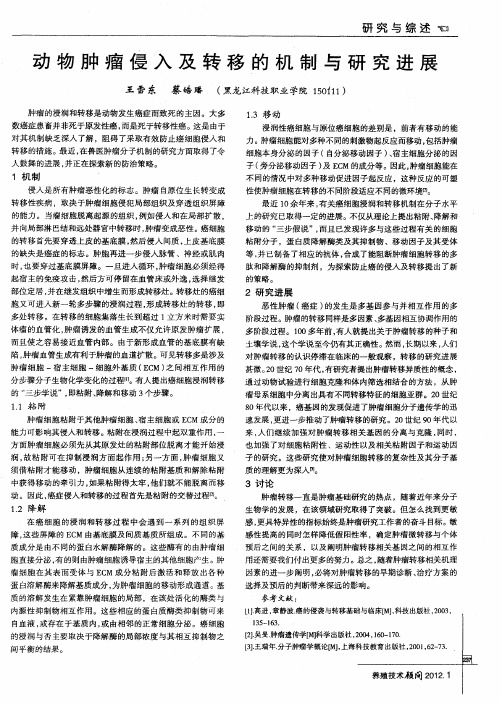 动物肿瘤侵入及转移的机制与研究进展