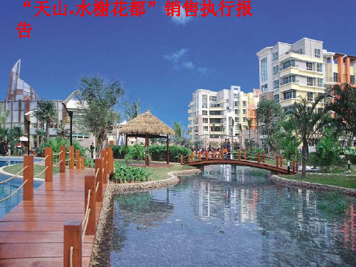 推荐-房地产水榭花都销售执行报告 精品