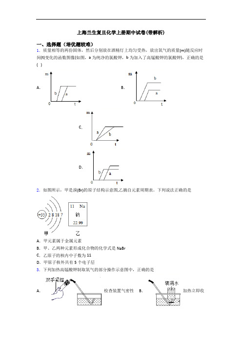 上海兰生复旦初三化学上册期中试卷(带解析)