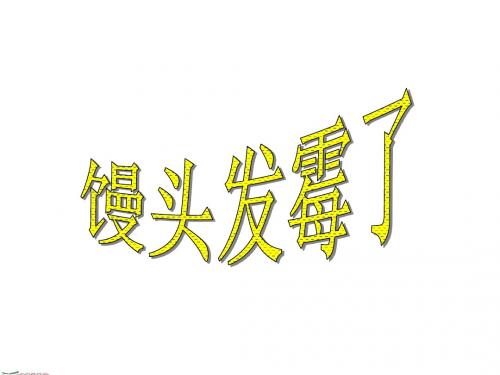 馒头发霉了PPt