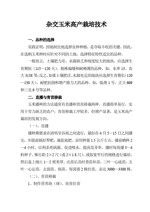 杂交玉米高产栽培技术