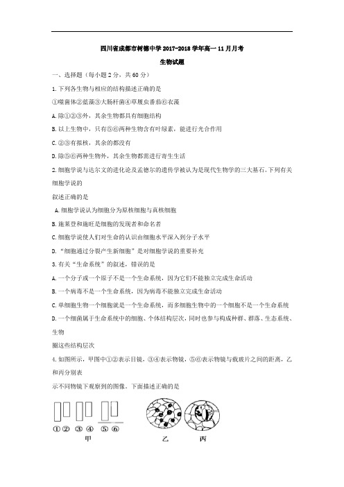 四川省成都市树德中学2017-2018学年高一11月月考生物试题 Word版含答案