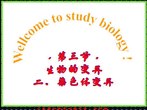 染色体变异课件精选教学PPT课件