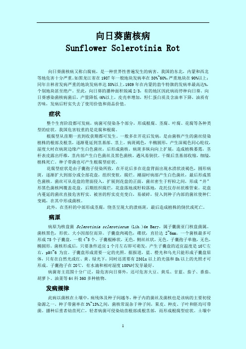 向日葵菌核病