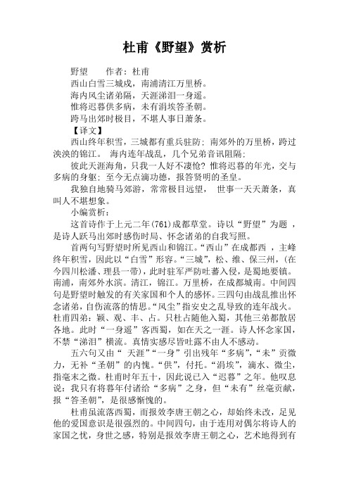 杜甫《野望》赏析
