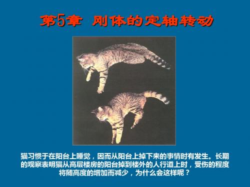 ch5刚体定轴转动-PPT精选文档
