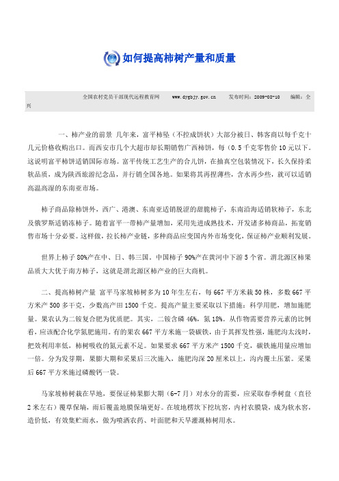 如何提高柿树产量和质量