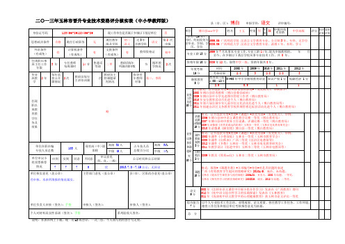 2013年玉林市晋升专业技术资格评分核实表(中小学教师版)(示例表)