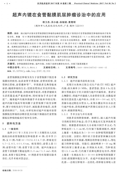 超声内镜在食管黏膜肌层肿瘤诊治中的应用