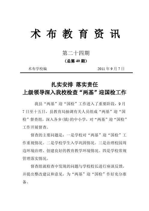 临潭县术布小学教育资讯第二十四期