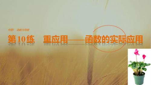 2017版考前三个月高考数学全国甲卷通用理科知识课件 方法篇 专题3 函数与导数 第10练 精品