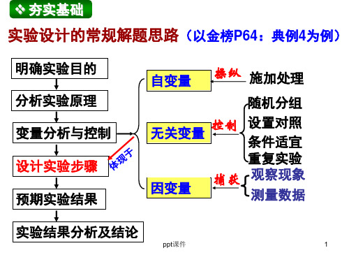 实验设计专题  ppt课件