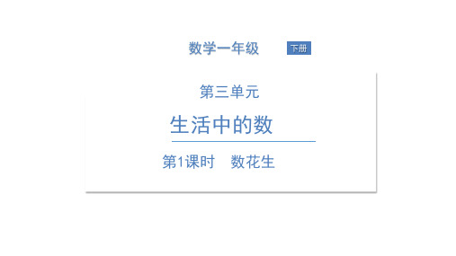 一年级下册数学PPT课件数花生北师大版