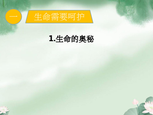 生命的奥秘