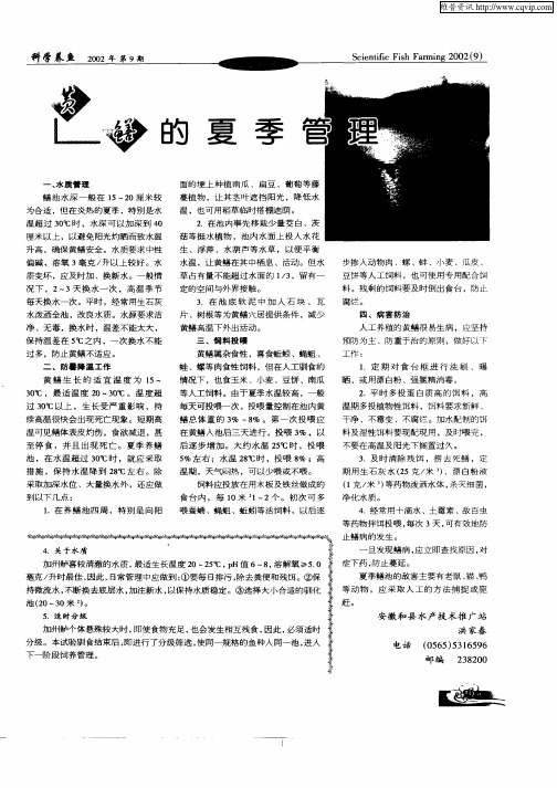 黄鳝的夏季管理
