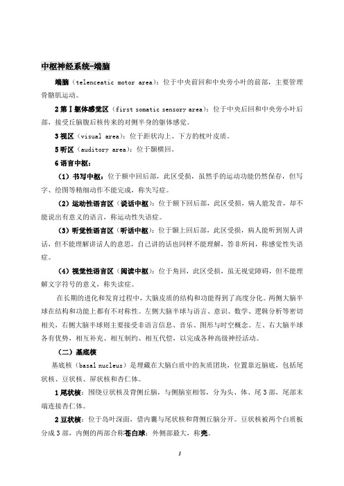 2021临床医学 62中枢神经系统-端脑