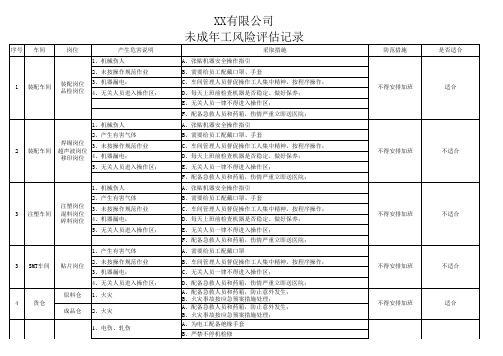 BSCI专用风险评估记录 未成年工风险评估分析记录
