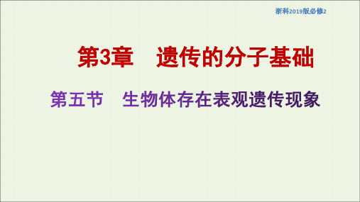 2021学年高中生物第三章遗传的分子基础第五节生物体存在表观遗传现象课件2浙科版必修2