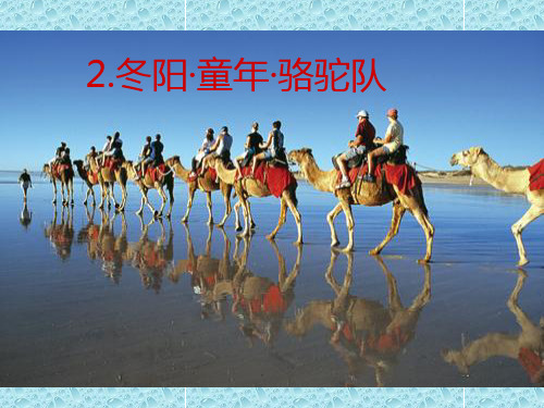 五年级下册语文课件-冬阳童年骆驼队 _人教部编版
