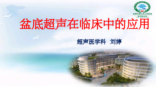 盆底超声在妇科的应用ppt课件