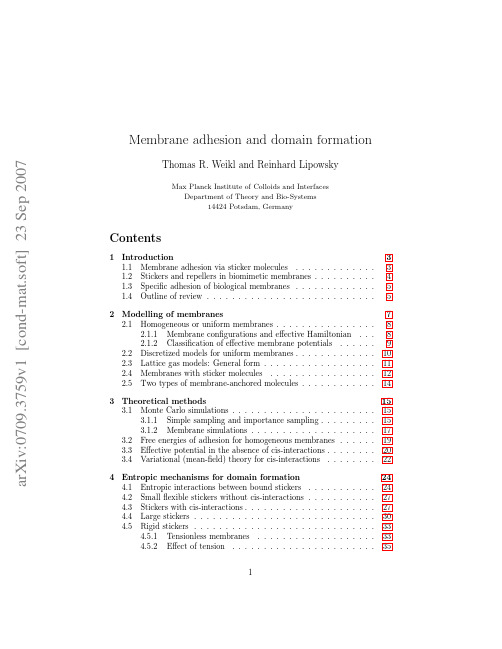 Membrane adhesion and domain formation