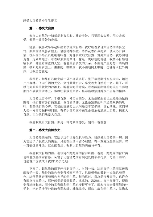感受大自然的小学生作文