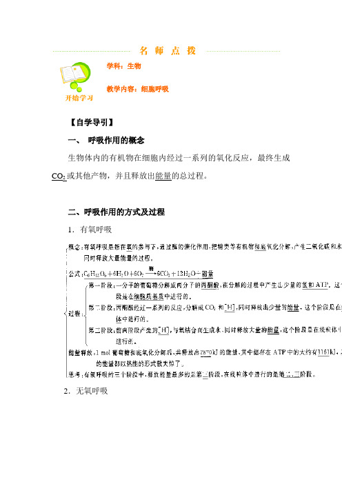 细胞呼吸1