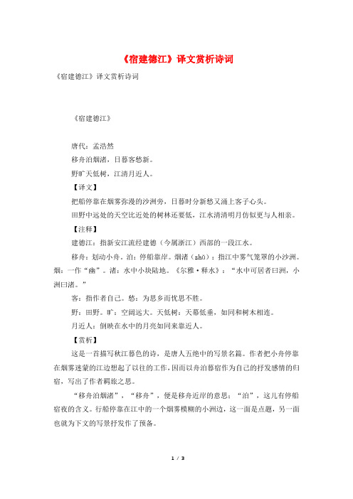 《宿建德江》译文赏析诗词