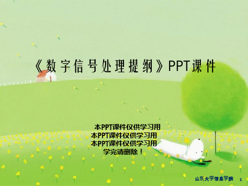 《数字信号处理提纲》PPT课件